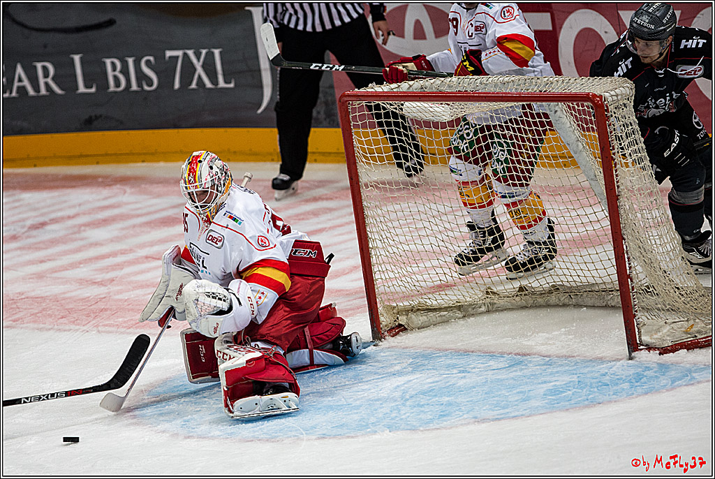 Koelner Haie - Duesseldorfer EG, 18.12.2016